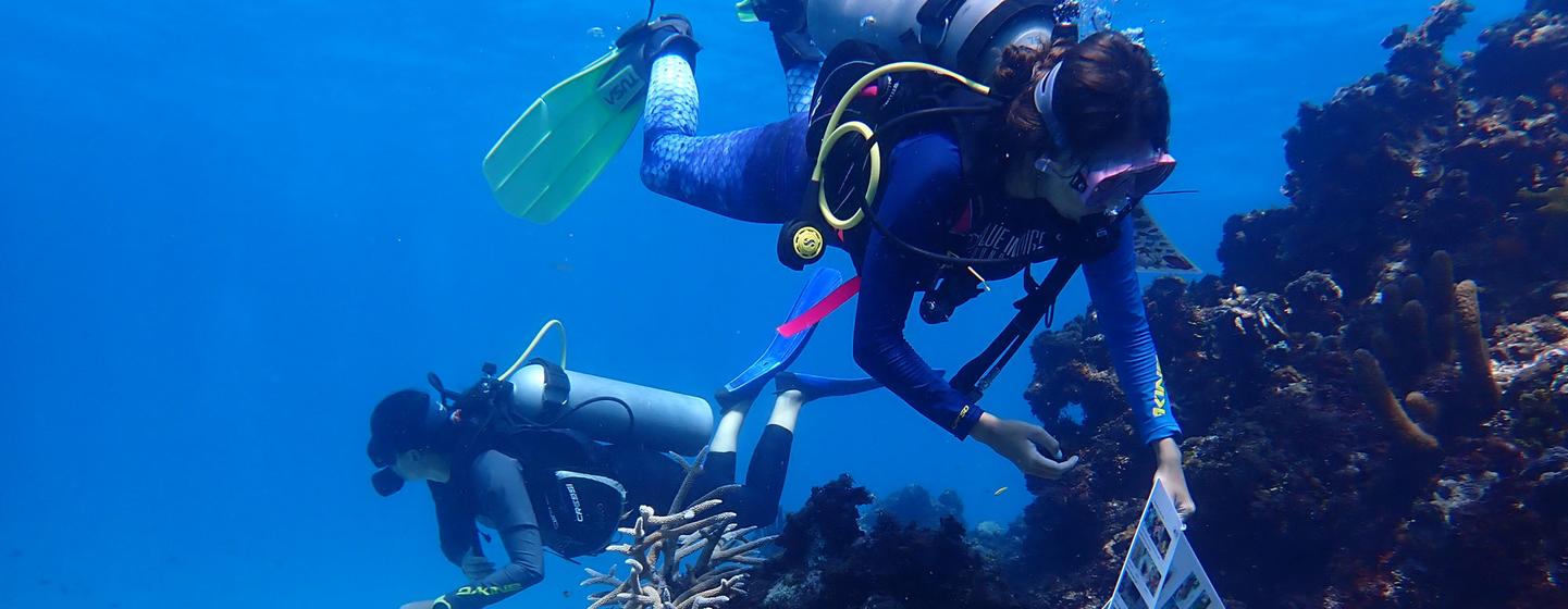 Women lead marine restoration efforts in the UNESCO Seaflower